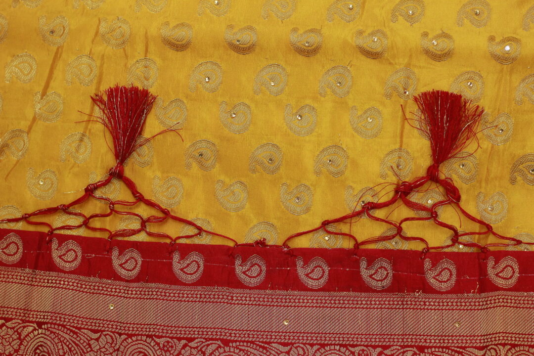 Heavy Work Double Shade Saree
